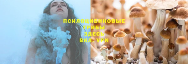 эйфоретик Горнозаводск