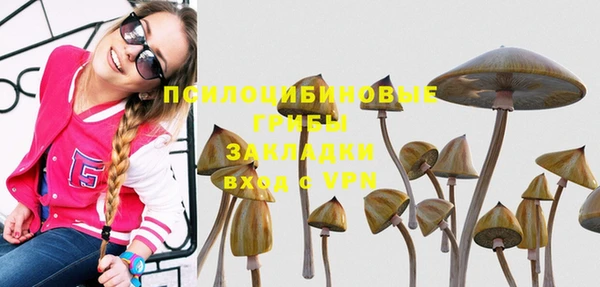 скорость mdpv Гусиноозёрск